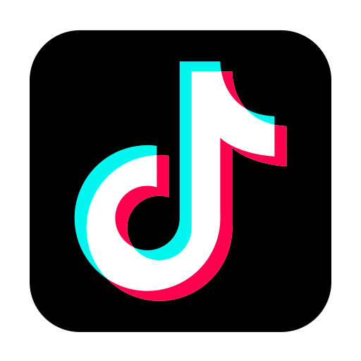 TikTok sekėjų pirkimas - subon.lt